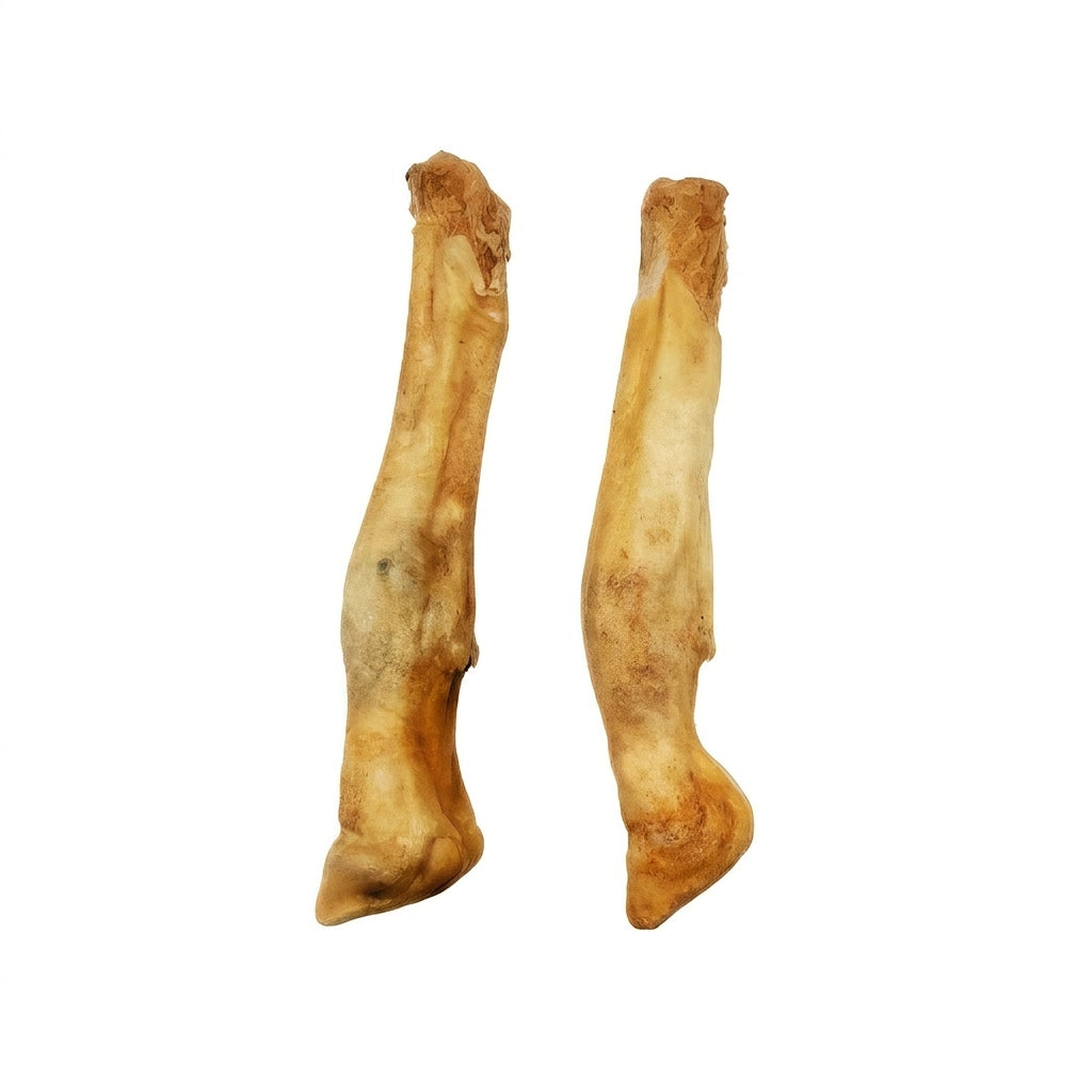 Multi-pack lamb feet dog chews – single-ingredient chews for all breeds