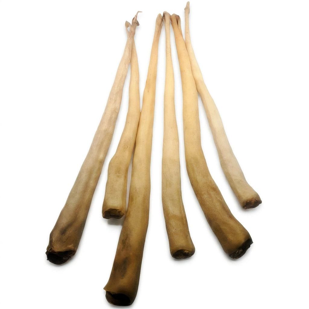 Cow tail dog chew – natural texture and firm chew for dogs