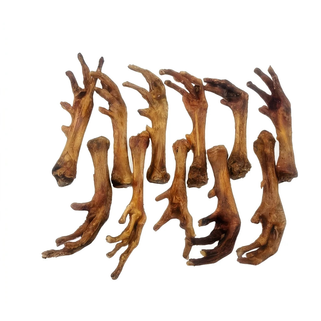 Bundle of whole chicken feet dog treats – natural crunchy snacks for dogs